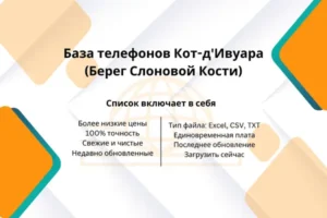 Shahalam1 300x200.webp