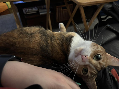 661617025 1778967363491054 4633278870261426133 n.jpg