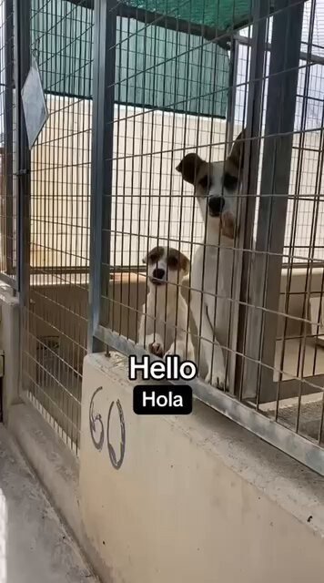 YVRM3KaRCkvvo FP.jpg