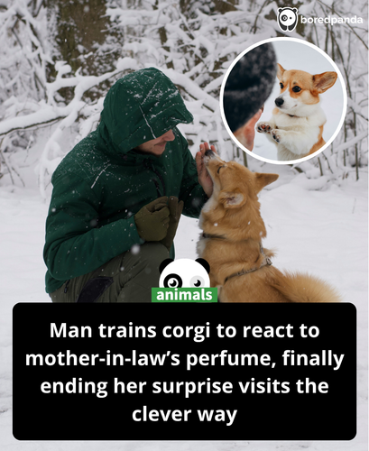 Guy Can’t Keep A Straight Face After His Methodical Revenge On MIL Works Better Than Expected.png