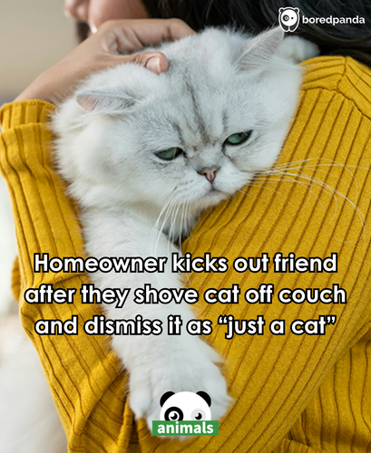 Person Is Shown The Door Immediately After Hurting Friend’s Cat, Doesn’t Get What The Big Deal Is.png