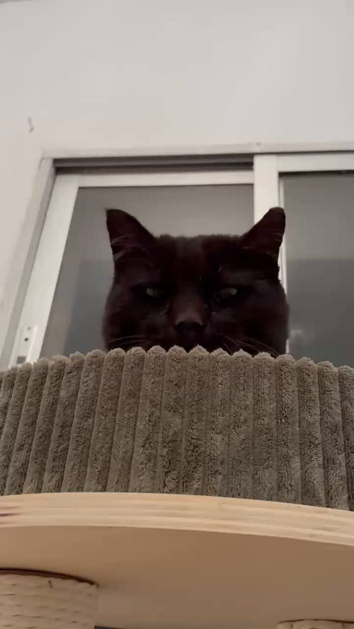 1CqjKy VtYwnuohI.jpg