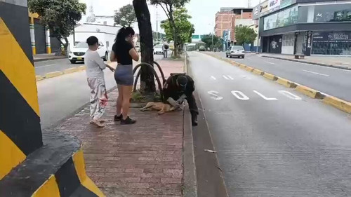 N0 KuGKlZyI fW58.jpg