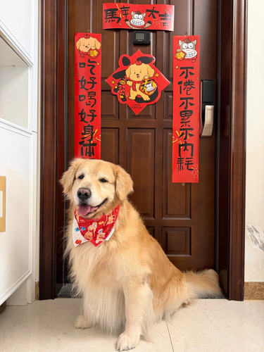 13861774515738 .pic hd.png