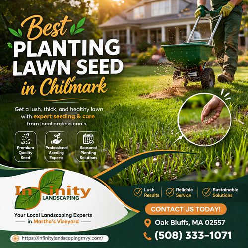 Best planting lawn seed in Chilmark.png