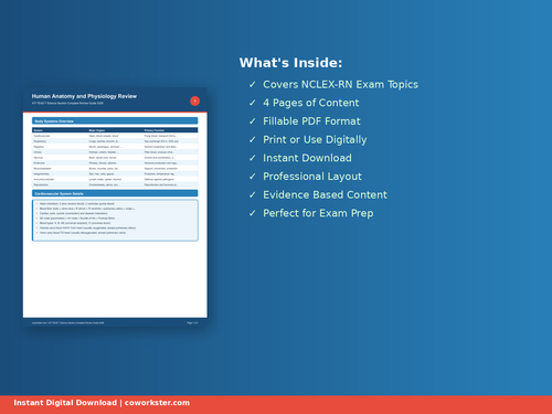 mockup 4 features.png