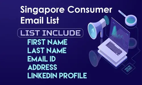 Singapore Consumer Email List 1.webp