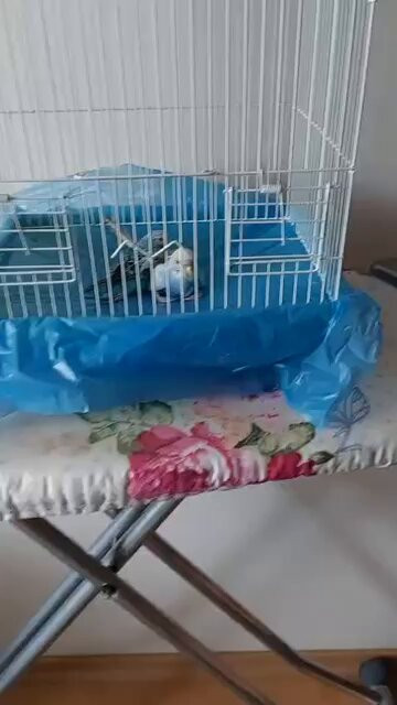 zvsE vCGOnV0WIGl.jpg