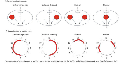 HFX EbYWYAAvFuU?format=jpg.jpg