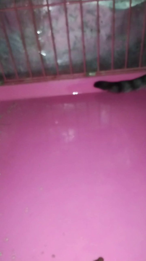 boEal2oq4iHIy 3a.jpg