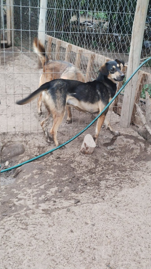 HFWyuM aAAAIywv?format=jpg.jpg