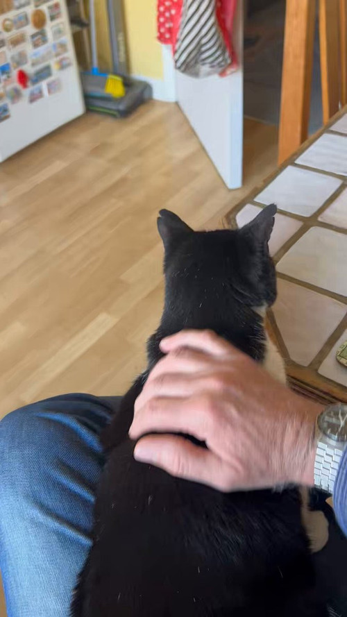 VAn zlE WqZvWSzE.jpg