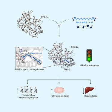 HFYnSAna8AUf x1?format=jpg.jpg