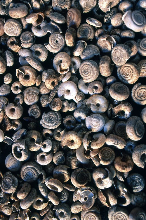 HFT x7Ha8AA9C2Y?format=jpg.jpg