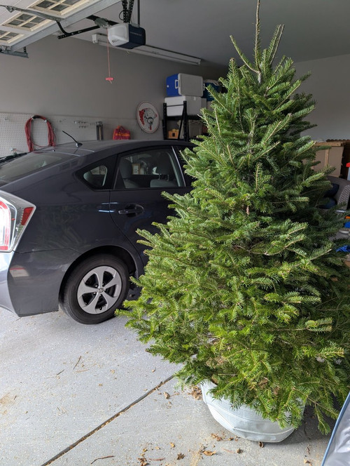 G ZQzDqWIAACSMG?format=jpg.jpg