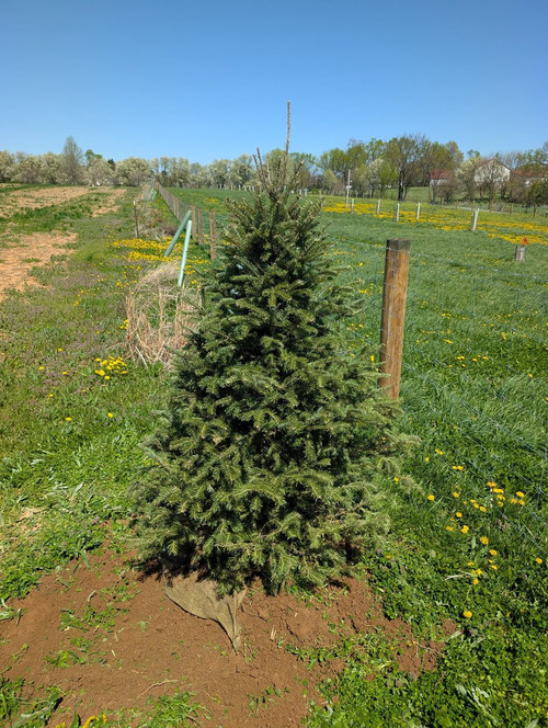 HFUgVyZa8AA oWk?format=jpg.jpg