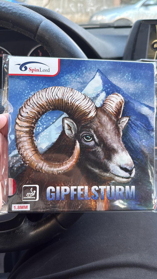 55F873BB C203 4189 B06E A6A4CC406837.jpg