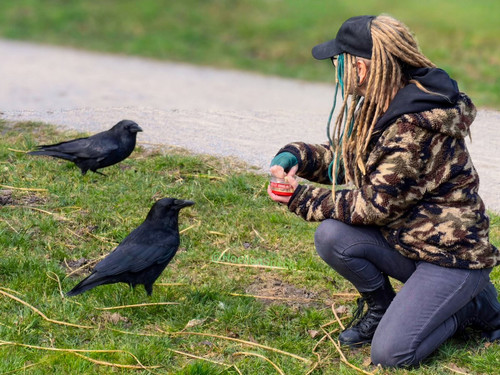 HFXv pBWsAAmqce?format=jpg.jpg