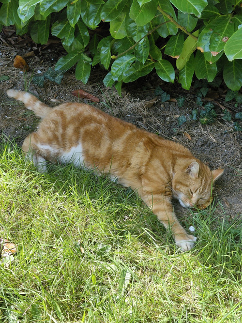 667335750 4261311500850856 542210052642922675 n.jpg