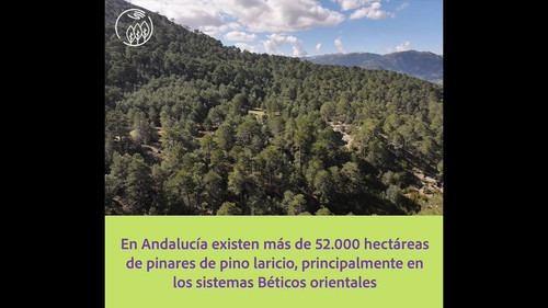 mDAgU xMdamDEjgB.jpg