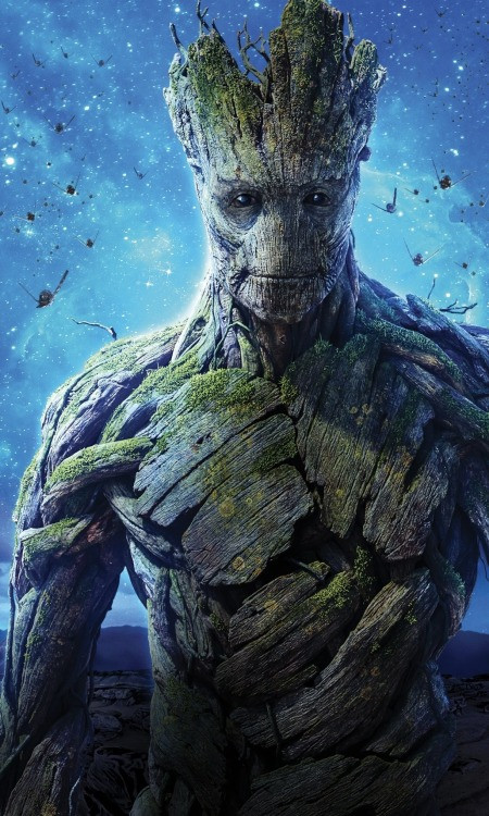 tumblr 51ee13d46fae1180a2a8da501bb13700 792ea969 500.jpg