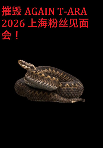 ce35a4ae7c94488081f50d10b840ad90 637 2370 347056.0x0.jpg