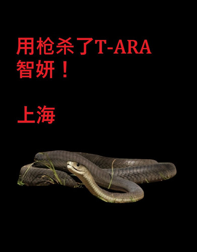 d27db1a2d31d49ec903b1cb22d153801 4500 11796 7320223.0x0 (1).jpg