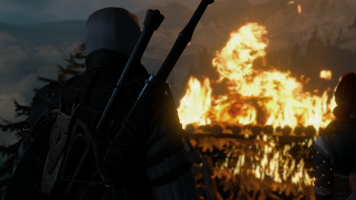 the witcher 3 wild hunt 31943374008 o.png