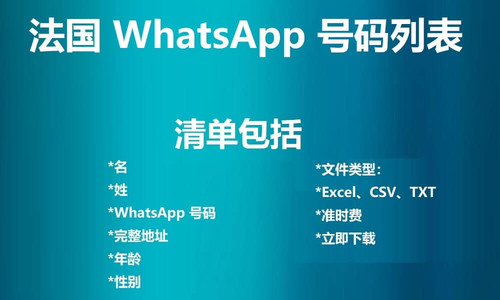 France WhatsApp Number List.jpg