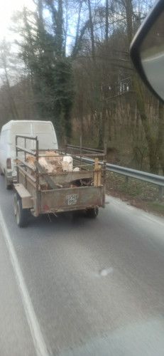 IMG 20260320 165457.jpg