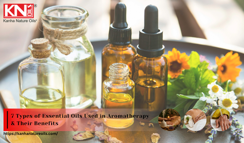 7 Types of Essential Oils Used in Aromatherapy & Their Benefits.png