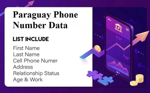 Paraguay Phone Number Data.jpg