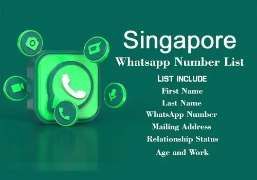 Singapore WhatsApp Number List.webp35.webp