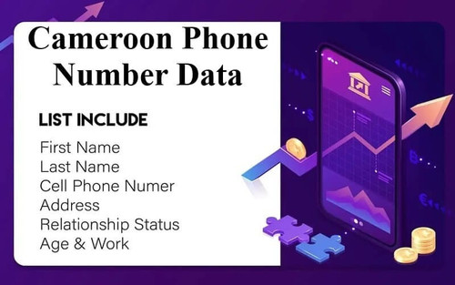 Cameroon Phone Number Data.jpg