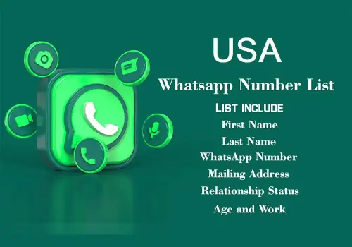 USA WhatsApp Number List.webp