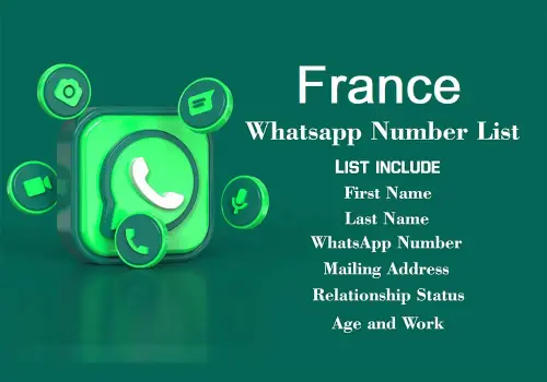 France WhatsApp Number Data.webp8.webp