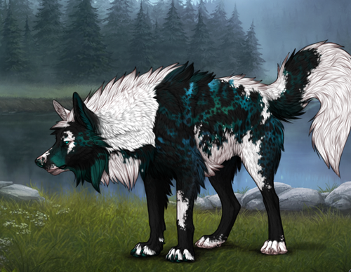 2ccf2a526ba14574c7e8d389f04c6947 1.png