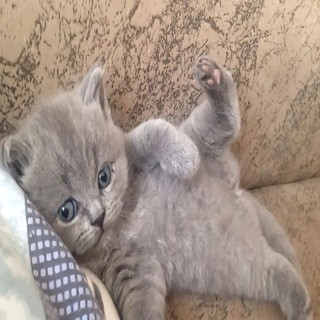 cUEIjADoLONO8zBWcYBUrdFw2QqxkjSLxf 7qWZr7uFkE1Dd5H6lBBqevbq8I1Z9BirSVjRnZFD 6nZbBuxa3JYZwlqfljHGWcyl.jpg