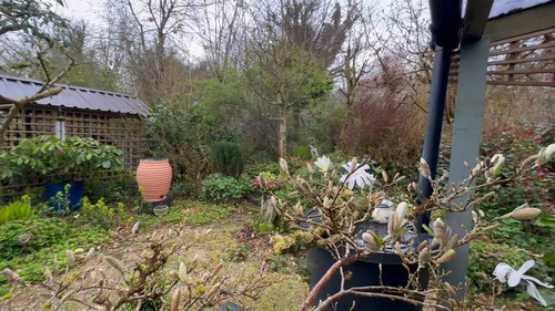 AltyvC1x3TC9jn 4.jpg