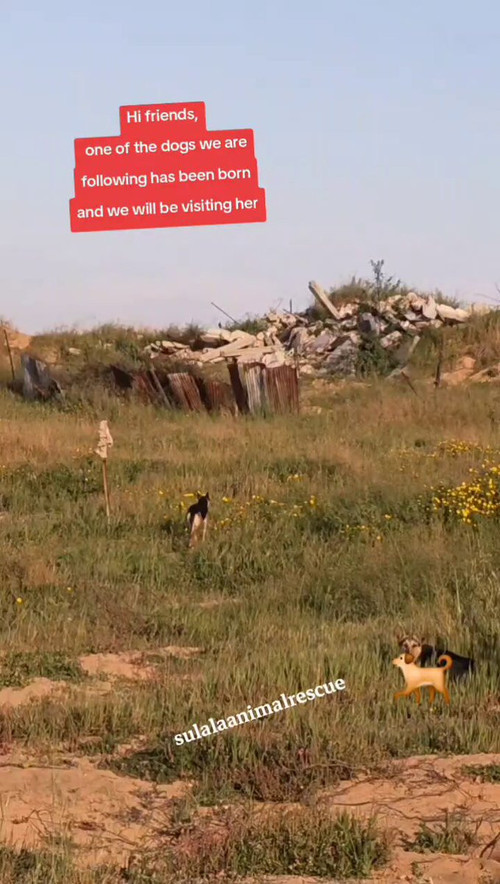 W0 ksZn6J7AB xd0.jpg