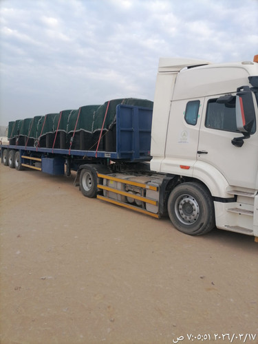 WhatsApp Image 2026 03 17 at 8.18.35 AM.jpg