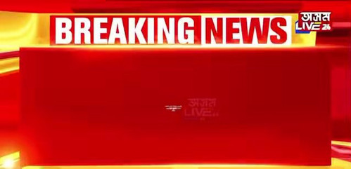 ZEzznVFab SgID1m.jpg