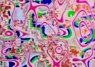 35MUvL2MWX9Jo4 W.jpg