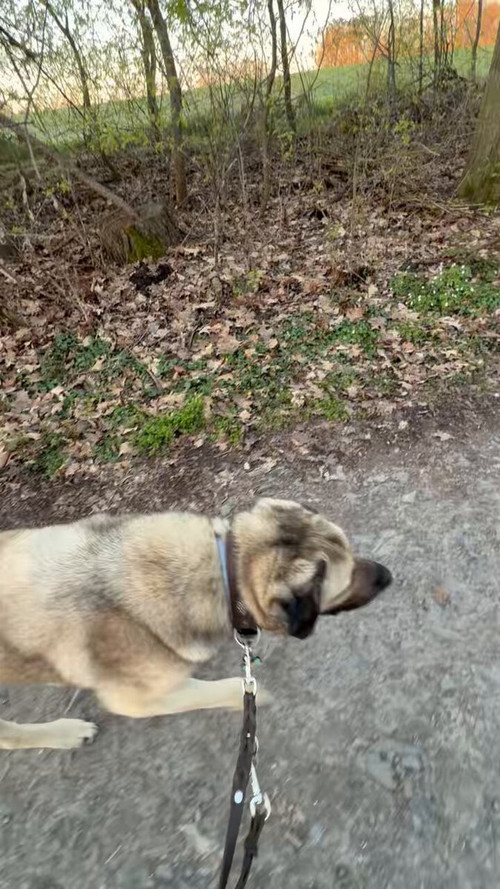 3beSDdfaBtACe TH.jpg