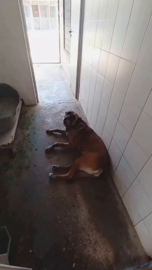 1Qc5xsR27zfbd9 j.jpg