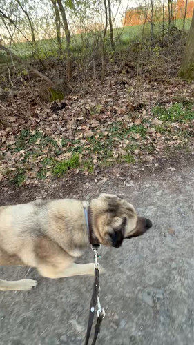 3beSDdfaBtACe TH.jpg