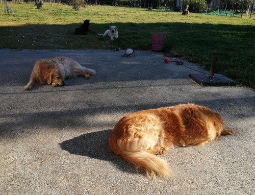 HFU YM7WoAAE8bx?format=jpg.jpg