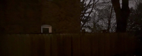 Uyjv UsCSnxr1alg.jpg