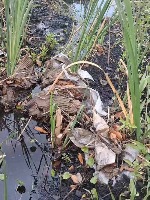 PAGgE94xYUCo iYl.jpg