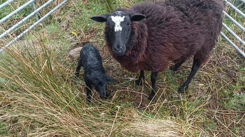 f qteDzgQSYoyNYN.jpg